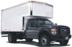 FUMIGACION DE ALACRANES EN VEHICULOS RECOMENDACIONES